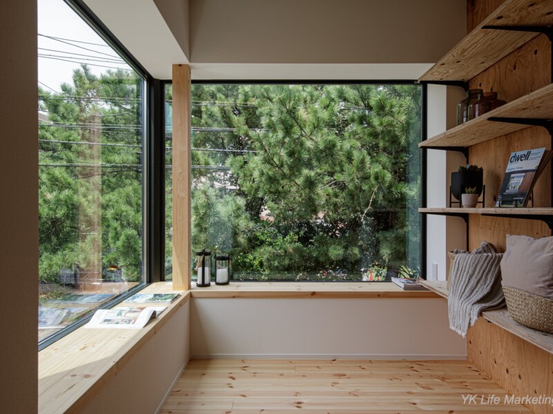 ダイナミックな松を絵画のように楽しめます。